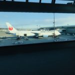 【JAL】日本航空/ビジネスクラスのインド路線 食事・サービス・座席を徹底紹介！！成田-ニューデリー路線を解説！！